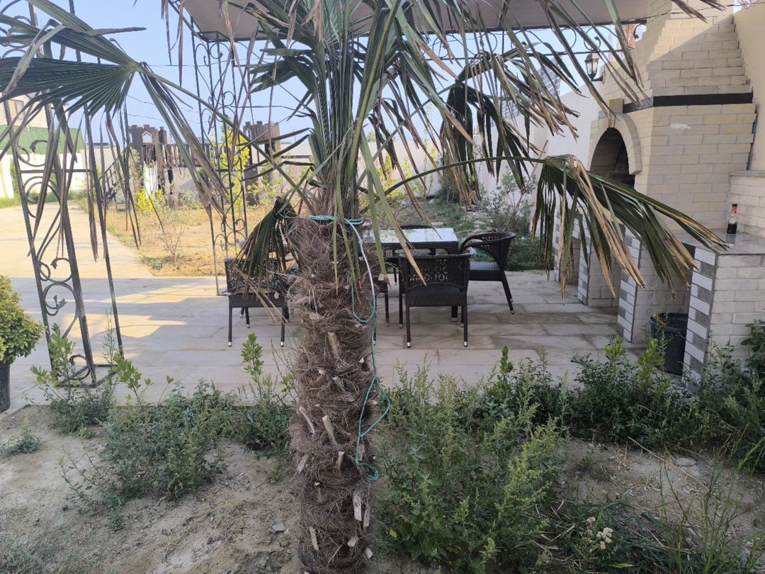 Satılır 7 otaqlı həyət evi/bağ evi 280 m² — Ev, villa, Bakı (8)