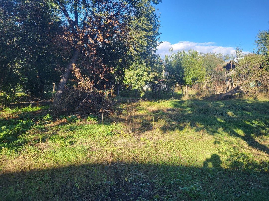 Satılır 7 otaqlı həyət evi/bağ evi 220 m² — Ev, villa, Zaqatala (8)