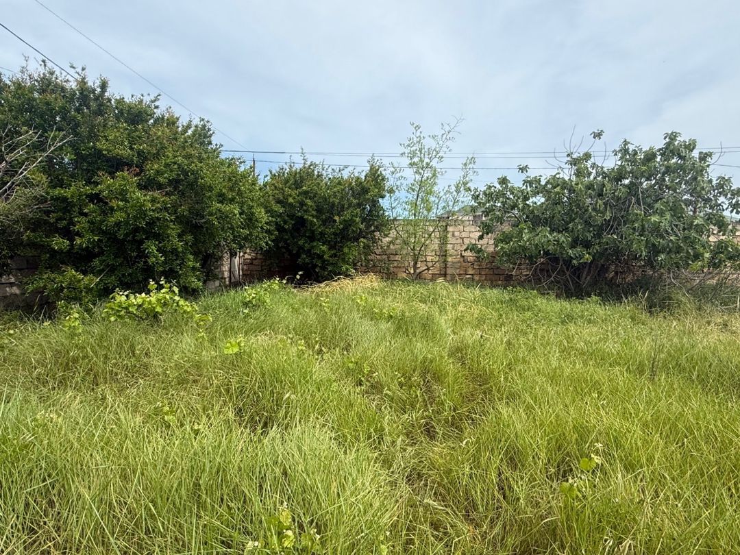 14 sot torpaq sahəsi, Albalı qəs — Torpaq, Bakı (11)