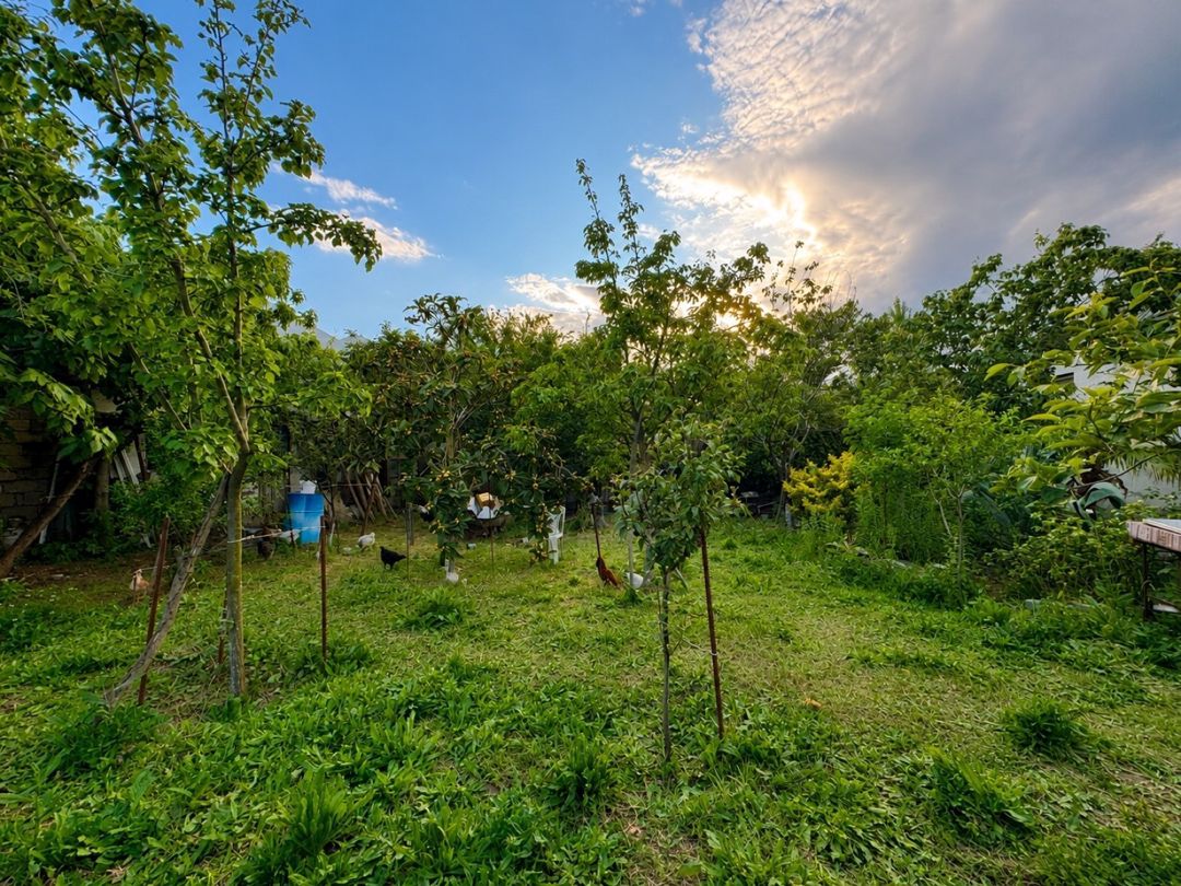 Həyət evi kirayə verilir, Kürdəxanı qəs — Ev, villa, Bakı (6)