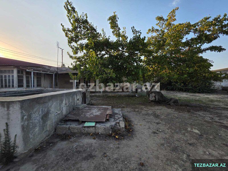 12 sot torpaq sahəsi, Şüvəlan q — Torpaq, Bakı (6)