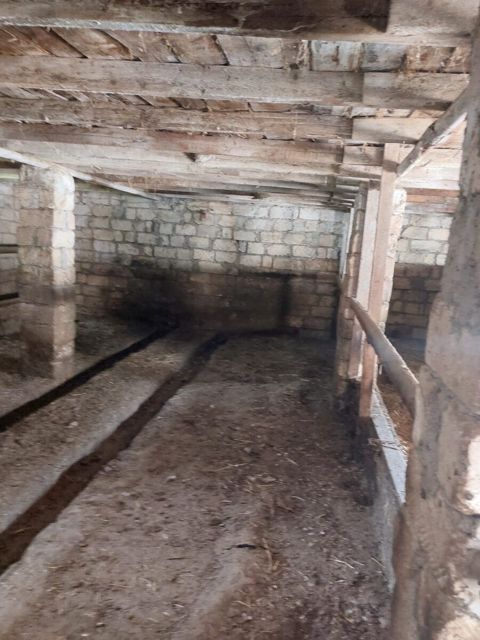 17 sot torpaq sahəsi, Şamaxı r — Şamaxı