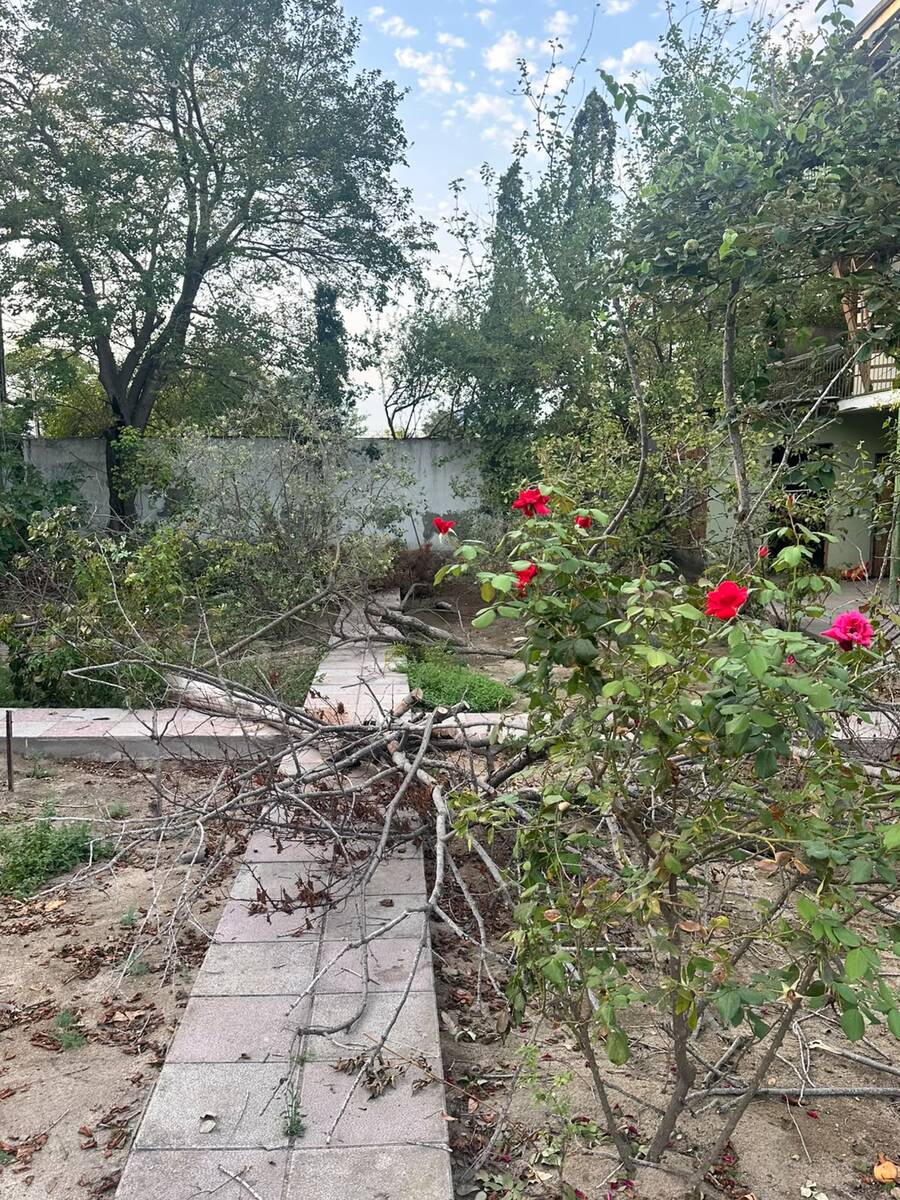 Satılır torpaq 4 sot — Torpaq, Bakı (10)