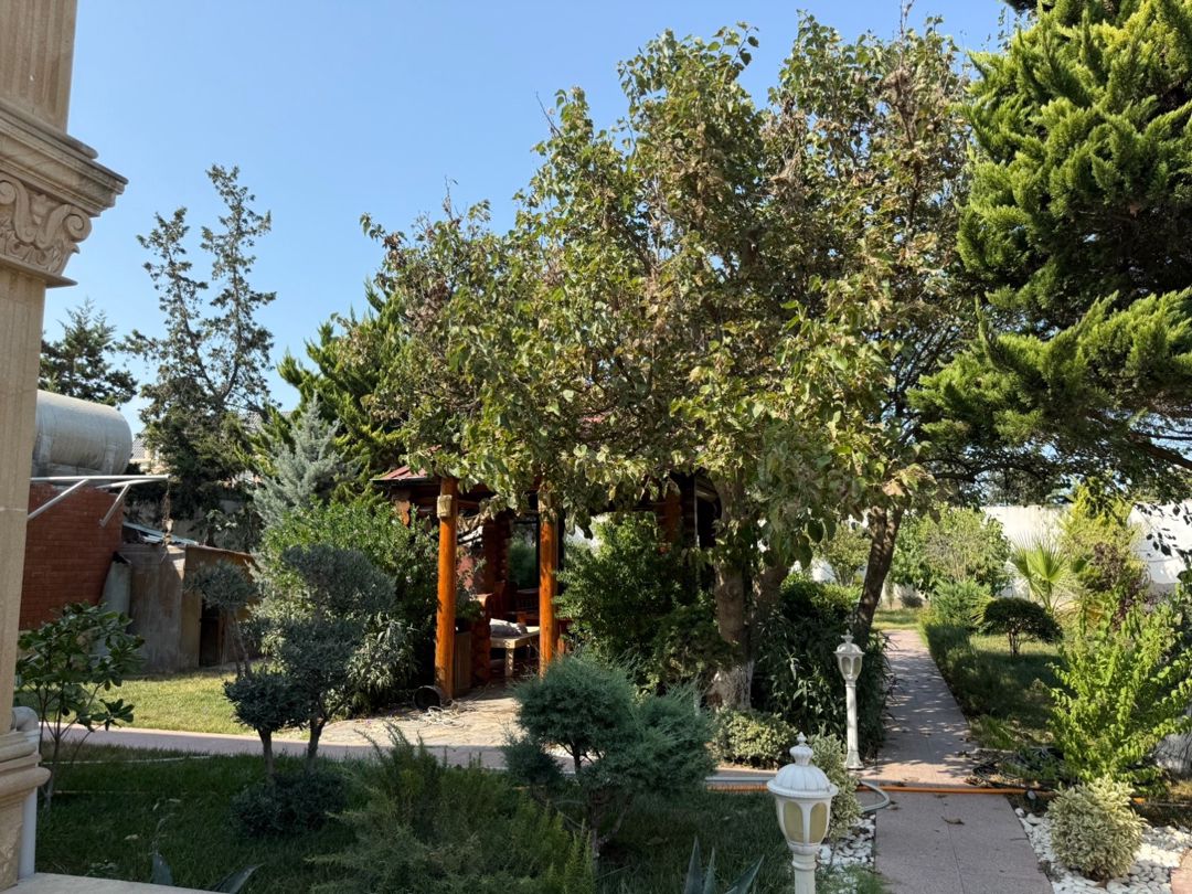 Bağ evi kirayə verilir, Mərdəkan qəs — Ev, villa, Bakı (6)