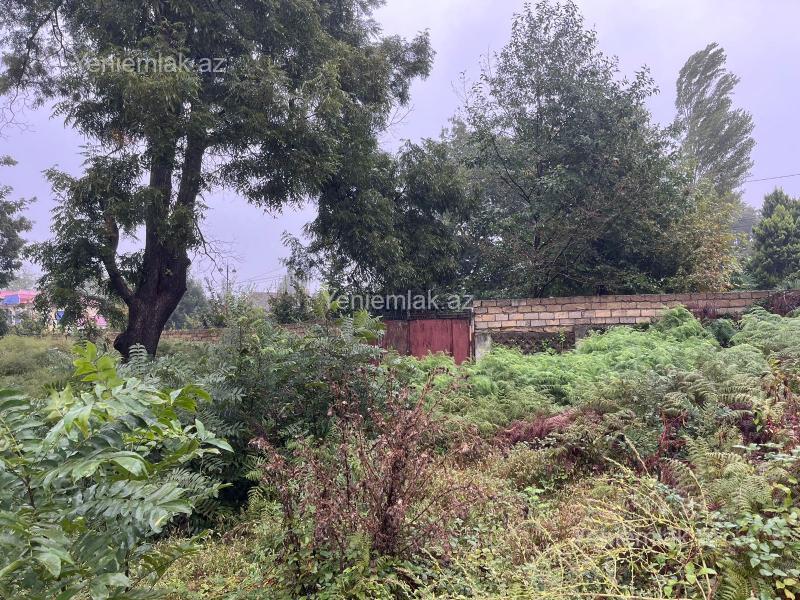 Satılır Torpaq sahəsi, 48.7 sot, Lənkəran — Torpaq, Lənkəran (3)