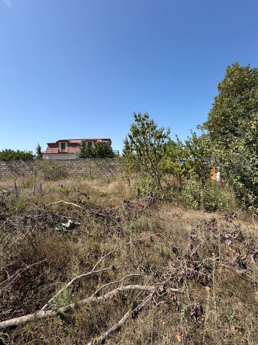 25 sot torpaq sahəsi, Qala qəs — Torpaq, Bakı (3)