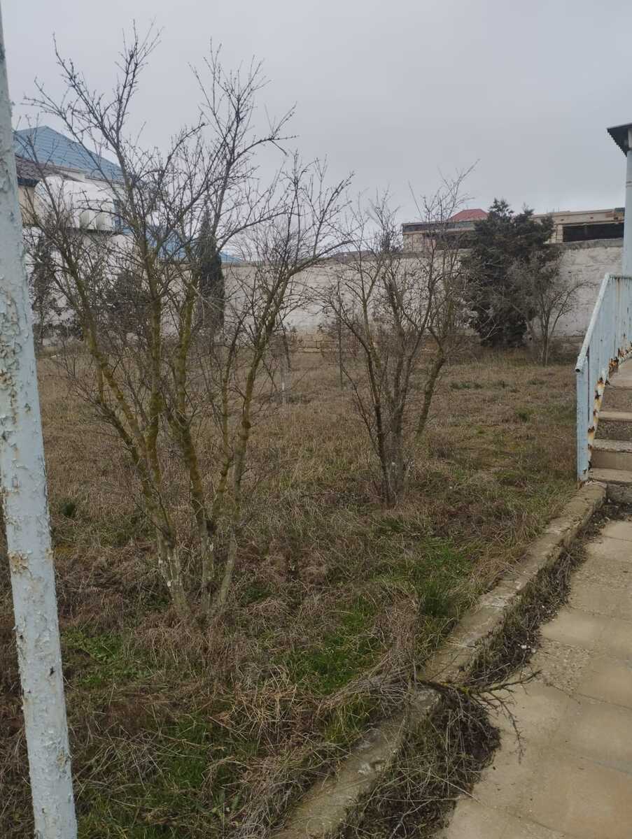 Satılır torpaq 16 sot — Torpaq, Bakı (4)