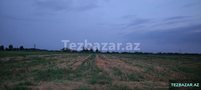 torpaq satışı — Torpaq, Bərdə (2)