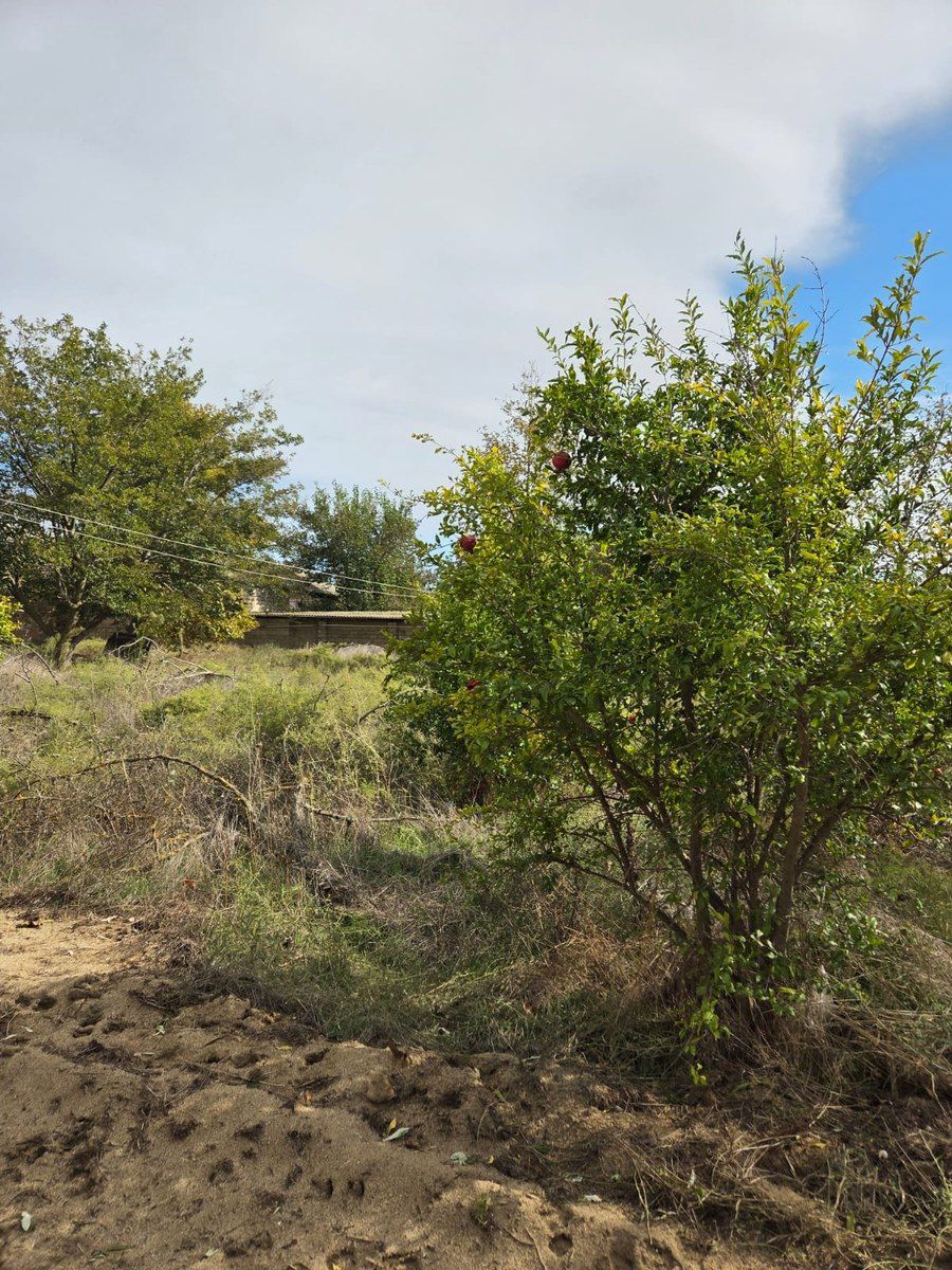 3 sot torpaq sahəsi, Sumqayıt ş — Torpaq, Sumqayıt (3)