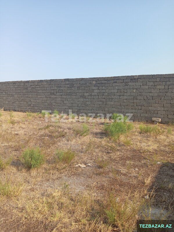 Kupçalı 12 sot torpaq — Torpaq, Bakı (6)