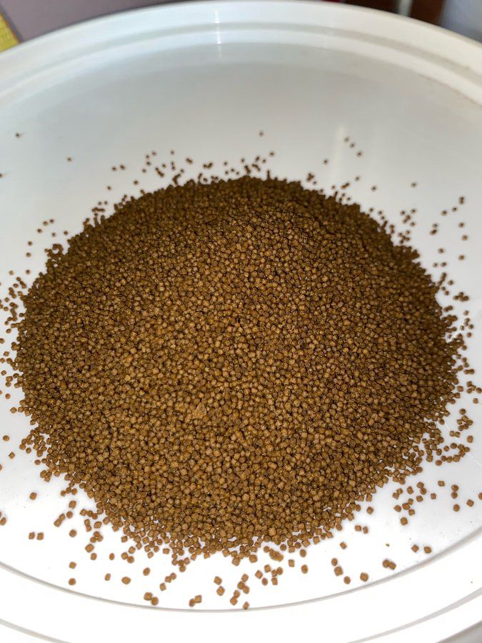 Alltech Coppens balıq yemi — Mallar, Bakı (4)