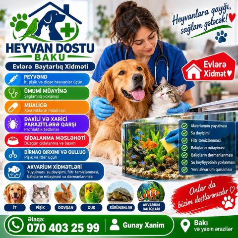 Heyvan Dostu Baku Heyvanlarınız üçün rahat və peşəkar xidmət — 50 ₼ · Mehdiabad · Digər heyvanlar Heyvan Dostu Baku Heyvanlarınız üçün rahat və peşəkar xidmət — Mehdiabad