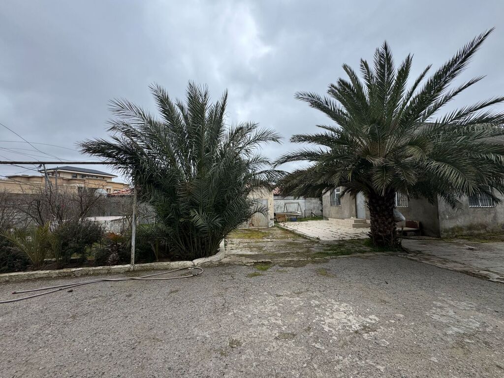 20 sot torpaq sahəsi, Mərdəkan qəs — Torpaq, Bakı (5)