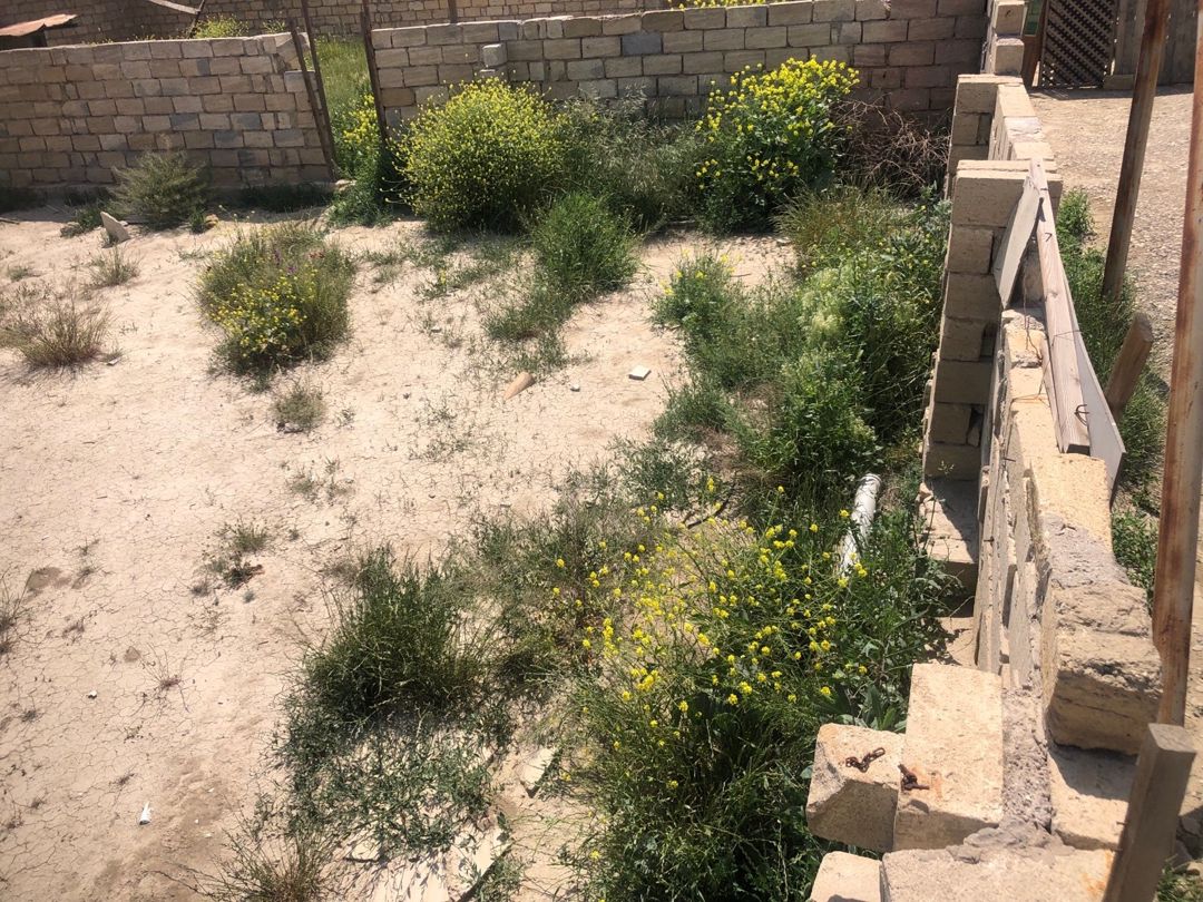 4 sot torpaq sahəsi, Qobu qəs — Torpaq, Bakı (6)