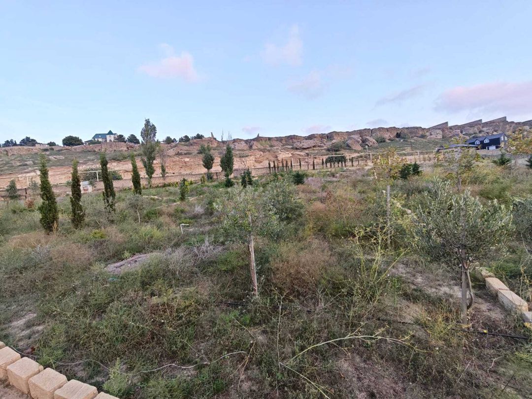 Satılır torpaq 6 sot — Torpaq, Bakı (2)