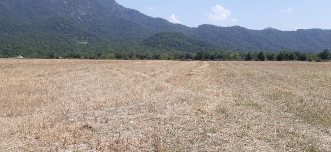 Satılır torpaq 45 sot — Torpaq, İsmayıllı (2)