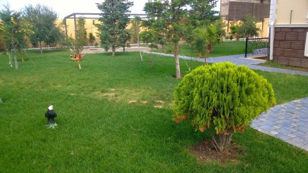 Satılır həyət evi/bağ evi 800 m² — Ev, villa, Bakı (5)
