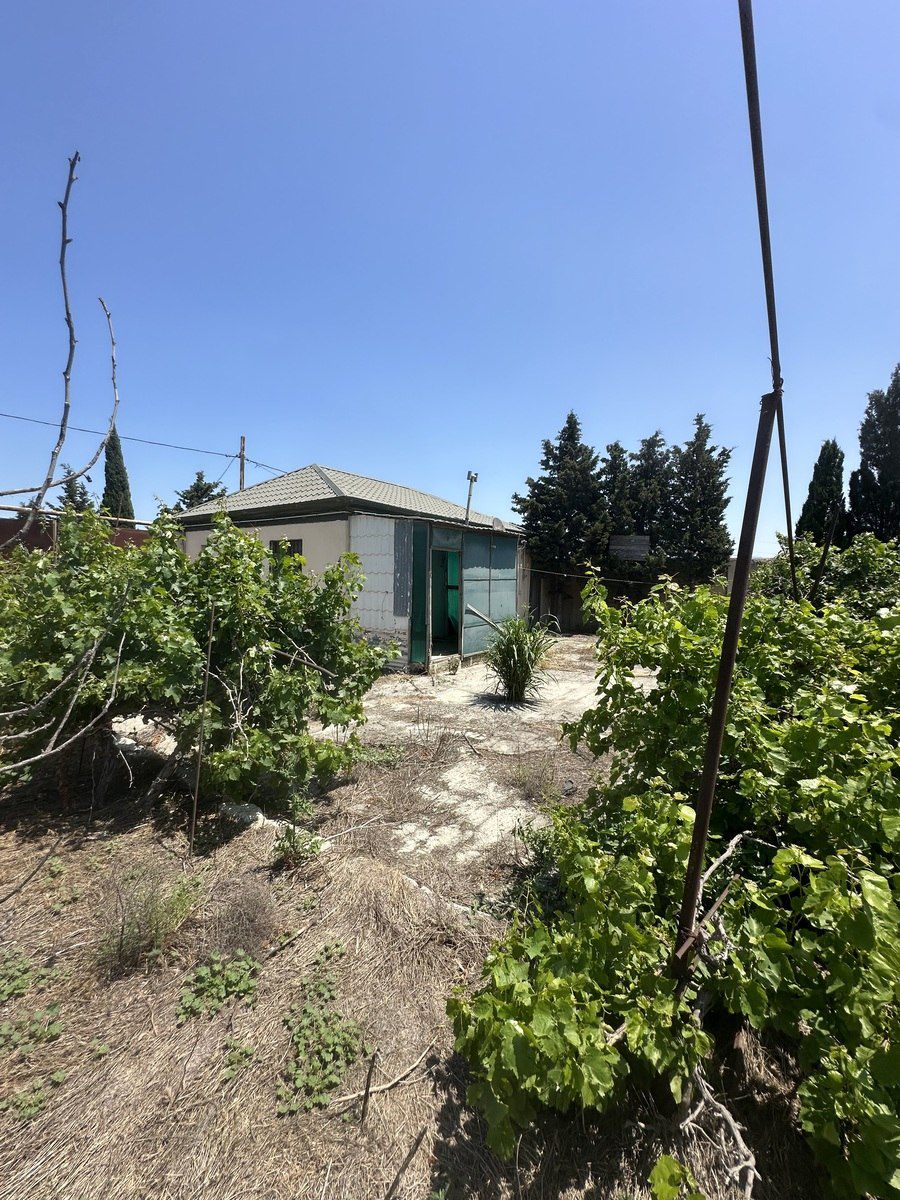 Satılır torpaq 30 sot — Torpaq, Bakı (5)