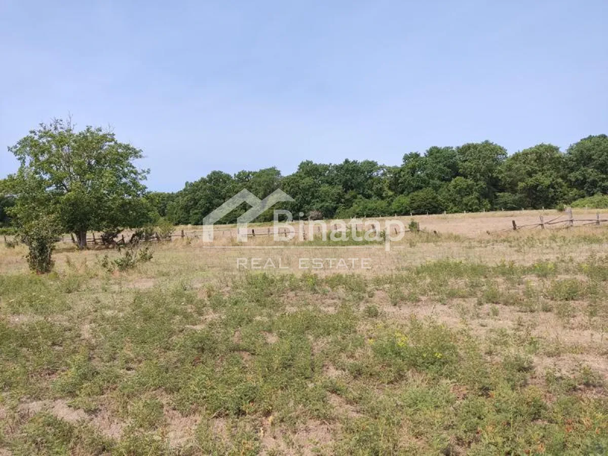 Satılır torpaq 10 sot, Dübəndi qəsəbəsi, Xəzər rayonu — Torpaq, Bakı (2)