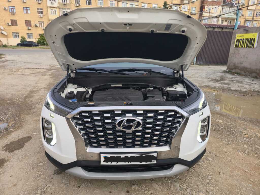 Hyundai Palisade, 2.2 L, 2018 il, 208 303 km — Avtomobillər, Bakı (12)
