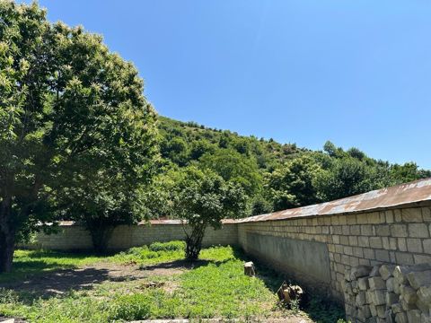 6 sot torpaq sahəsi, Qəbələ ş — Qəbələ