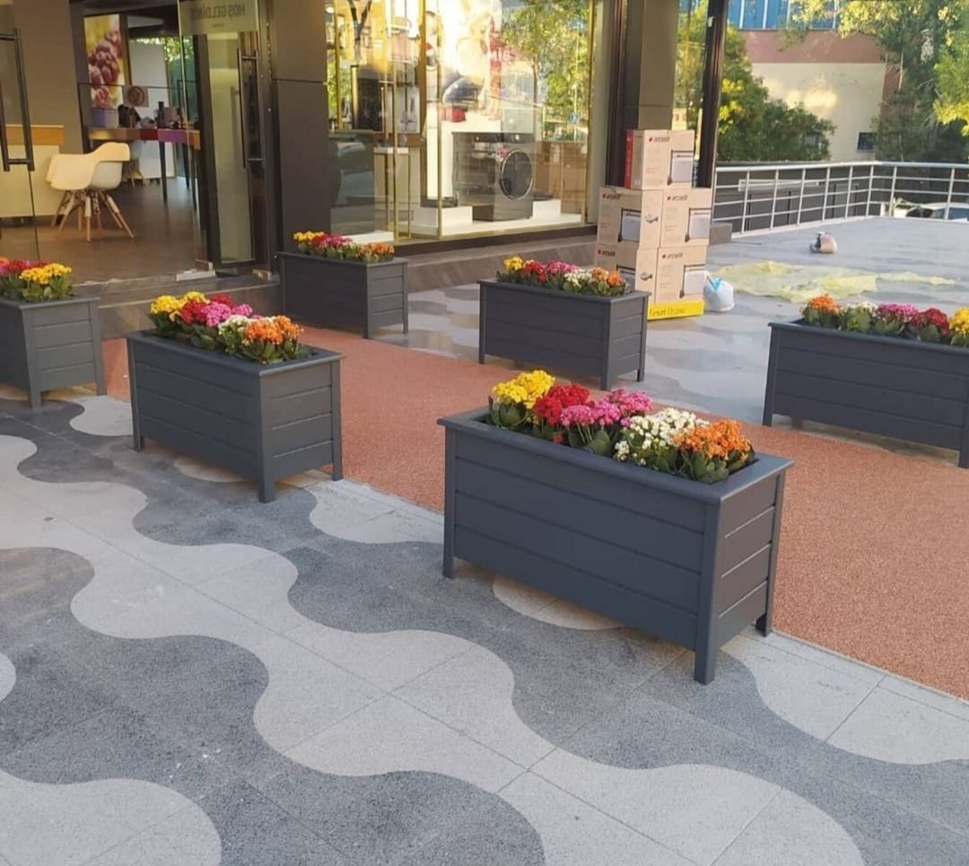 Restoranlar üçün dibçək — Bitkilər, Bakı (3)