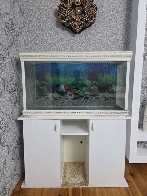 Akvarium — Bakı