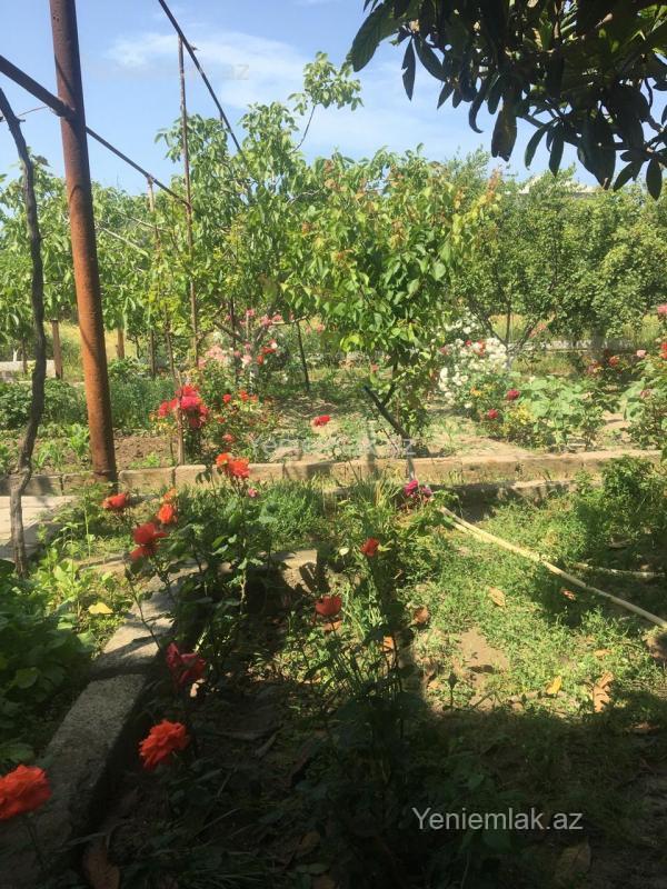 Satılır 5 otaqlı Həyət evi / Villa, 150 m², Xəzər bağları — Ev, villa, Sumqayıt (7)