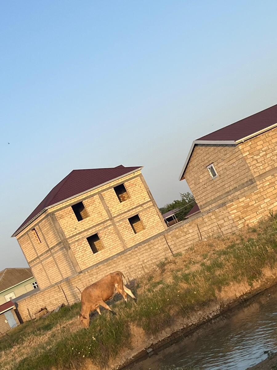Satılır 10 otaqlı həyət evi/bağ evi 1500 m² — Ev, villa, Biləsuvar (2)