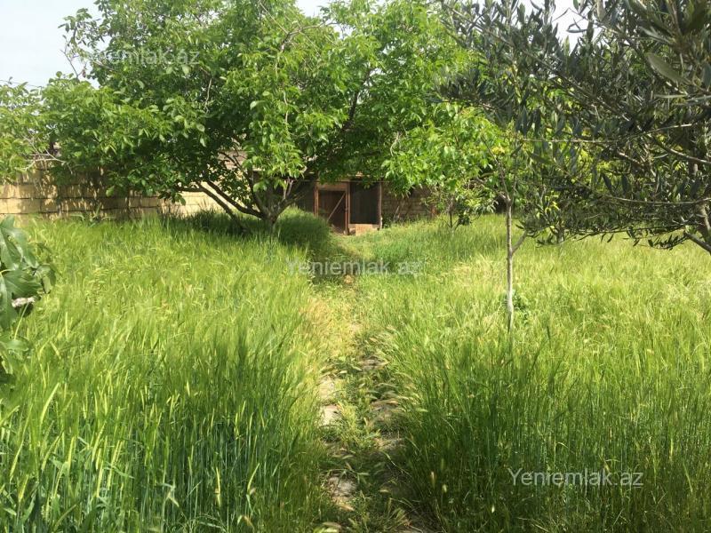 Satılır 5 otaqlı Həyət evi / Villa, 150 m², Xəzər bağları — Ev, villa, Sumqayıt (4)