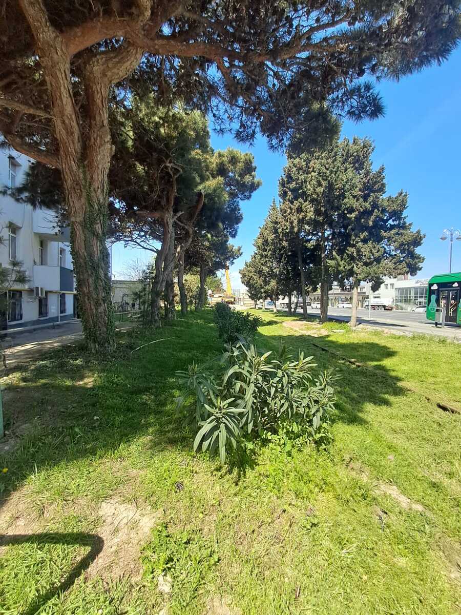 Satılır 2 otaqlı köhnə tikili 55 m² — Mənzil, Bakı (2)