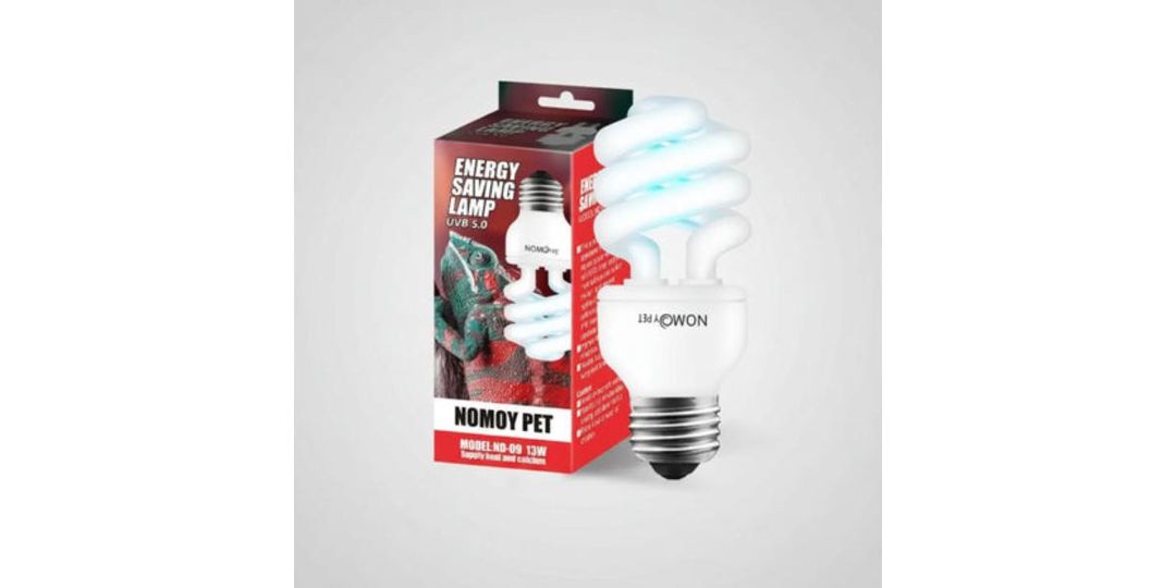 Lampa, 5–50 l, şüşə — Mallar, Bakı