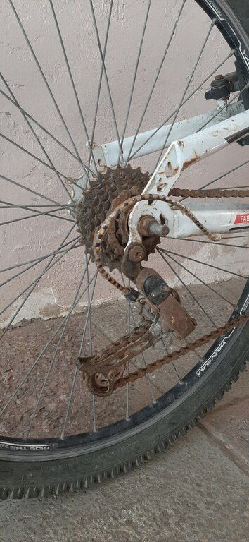 Velosiped — Velosipedlər, Bakı (6)