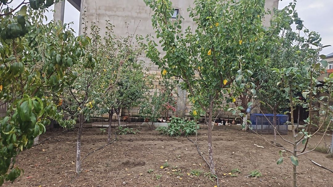 Satılır torpaq 3 sot — Torpaq, Bakı (8)