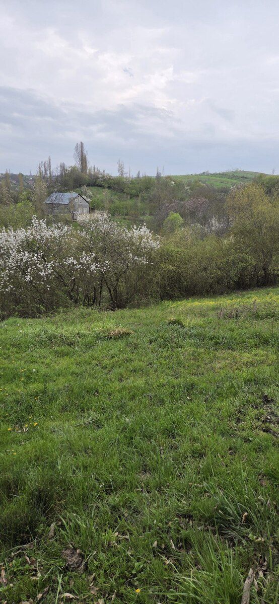 17 sot torpaq sahəsi, Qusar r — Torpaq, Qusar (5)