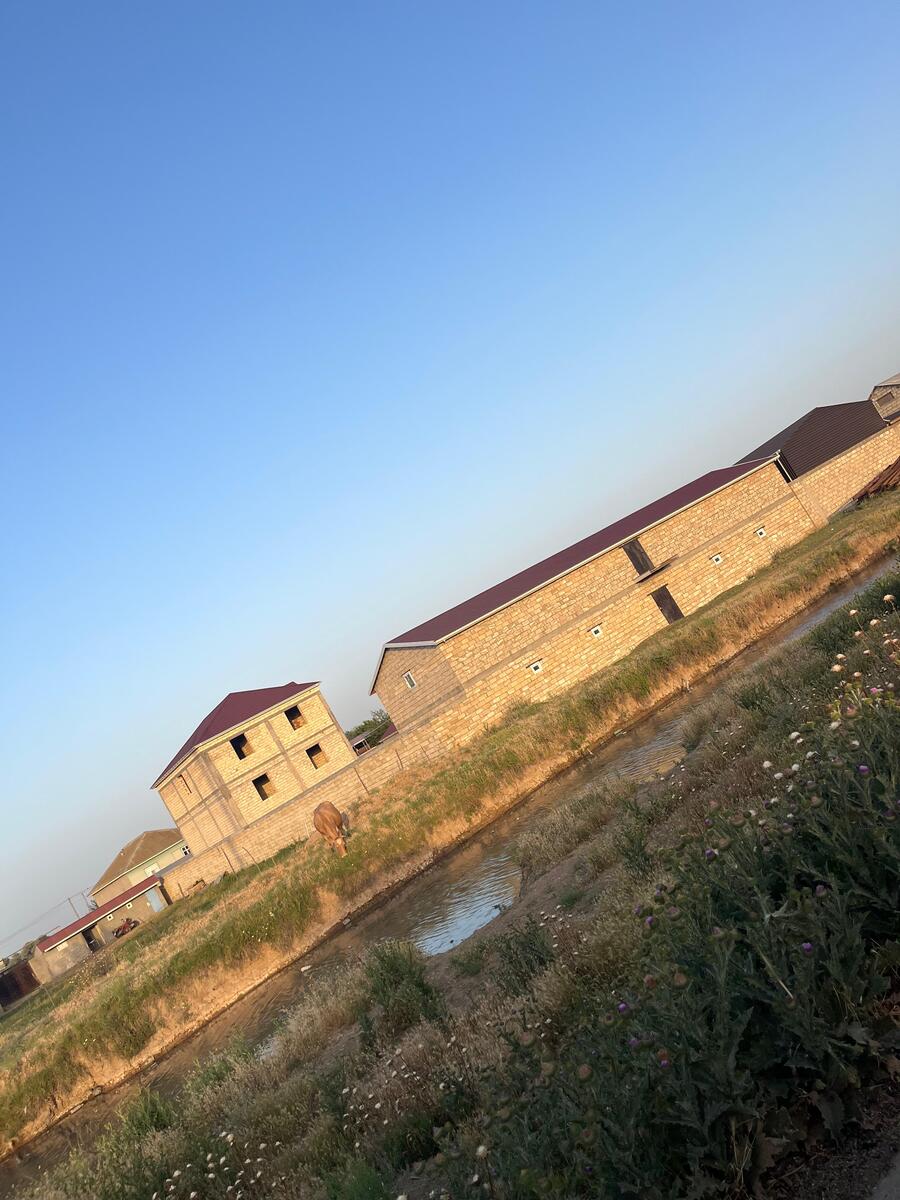 Satılır 10 otaqlı həyət evi/bağ evi 1500 m² — Ev, villa, Biləsuvar (9)