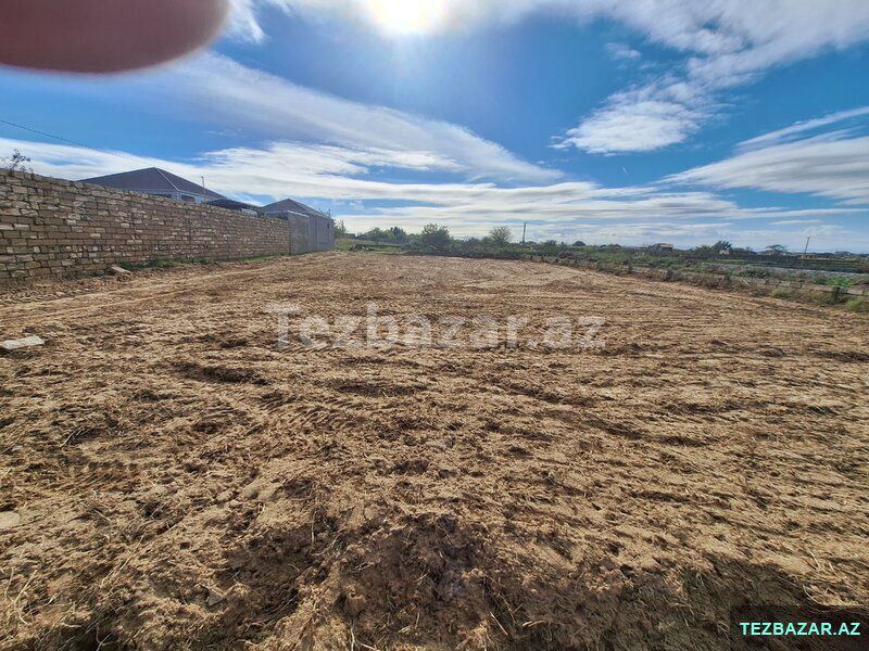 Nardaran Lehic bağları — Torpaq, Bakı (6)