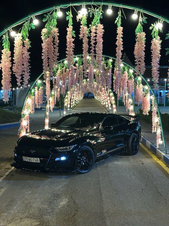 Ford Mustang, 2.3 L, 2016 il, 118 500 km 75-BO-746 — Avtomobillər, Naxçıvan (9)