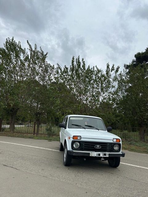 Lada (VAZ) Niva, 1.7 L, 2008 il, 34 434 km — Biləsuvar