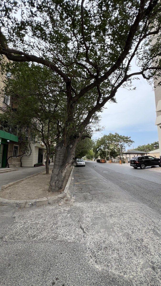 Satılır qaraj 23 m² — Garaj, Bakı (2)