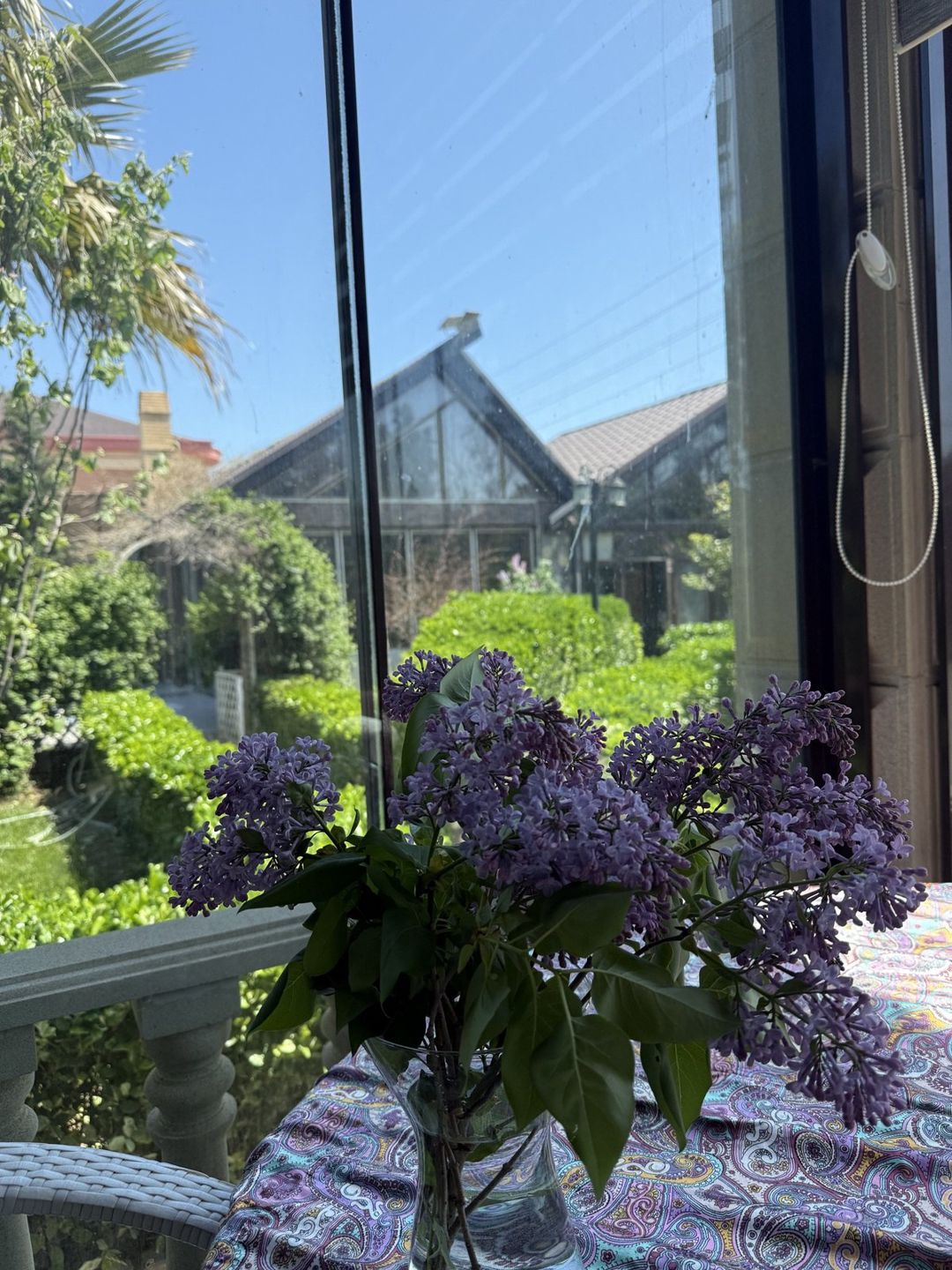 İcarəyə verilir 5 otaqlı həyət evi/bağ evi 380 m² — Ev, villa, Bakı (5)