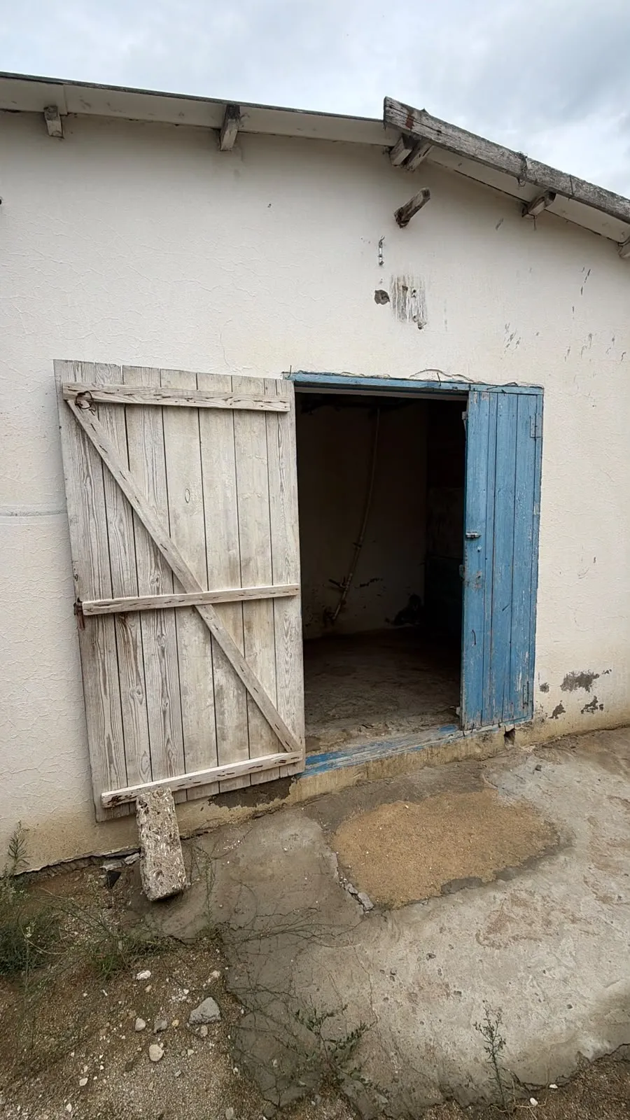 Qala, Torpaq satılır - 40 sot — Torpaq, Bakı (7)