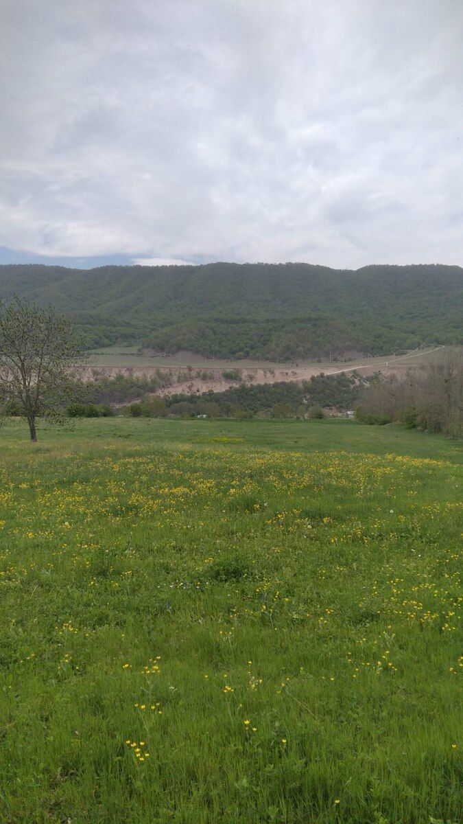 40 sot torpaq sahəsi, Qusar r — Torpaq, Qusar (4)