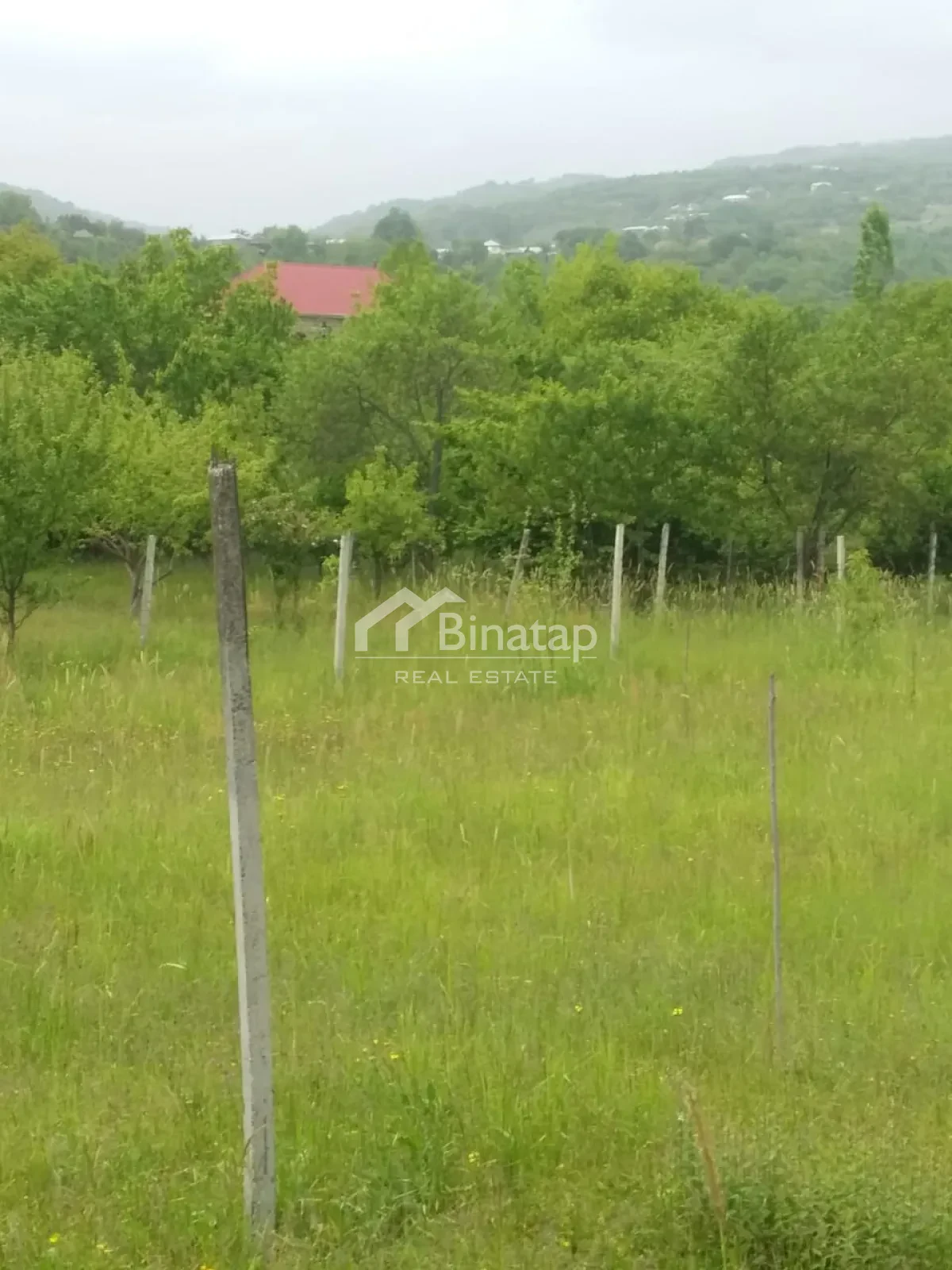 Satılır torpaq 50 sot, İsmayıllı rayonu — Torpaq, Bakı (3)