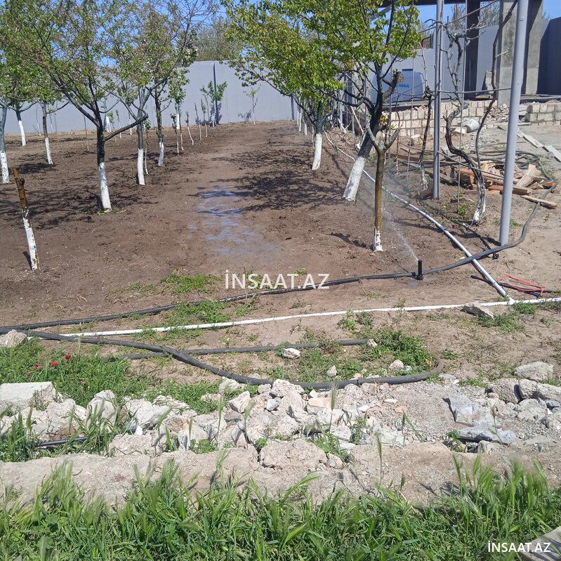 Suvarma sistemlərinin quraşdırılması — Bitkilər, Bakı (7)