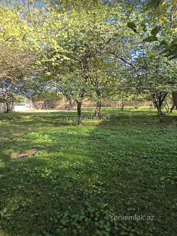 Satılır Torpaq sahəsi, 27 sot, Qəbələ — Torpaq, Qəbələ
