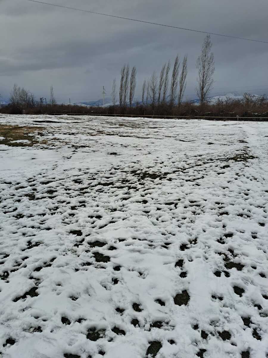 Satılır torpaq 71 sot — Torpaq, Qəbələ (3)