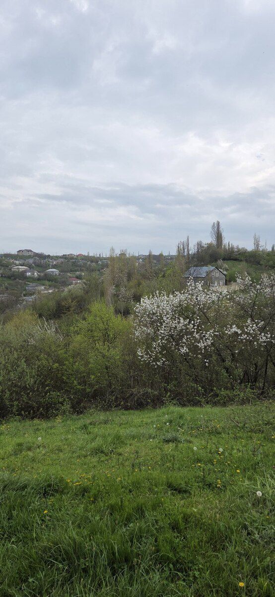 17 sot torpaq sahəsi, Qusar r — Torpaq, Qusar (7)