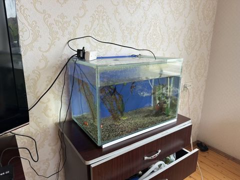 Akvaryum 100 lt filter bahalı isidici var içində hərşey var — Bakı