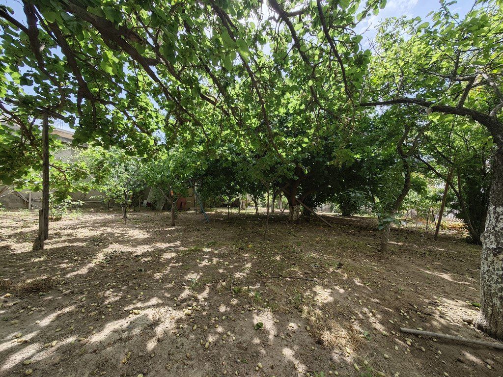 Satılır 6 otaqlı həyət evi/bağ evi 280 m² — Ev, villa, Bakı (6)